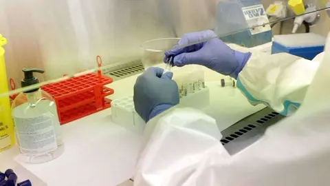 coronavirus