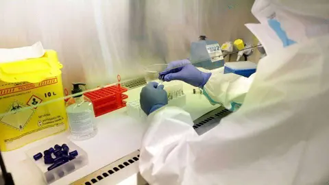 coronavirus