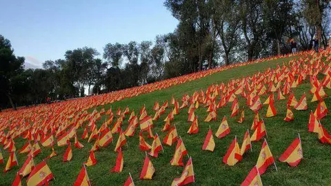 banderas-de-espana-en-el-parque-roma-de-madrid