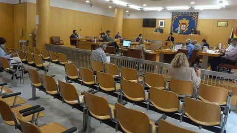 Un momento del pleno de la Asamblea celebrado hoy (CEDIDA)