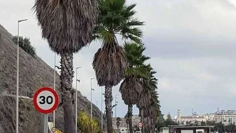 descarga