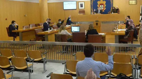 Un momento del pleno celebrado esta ma&ntilde;ana (CEDIDA)
