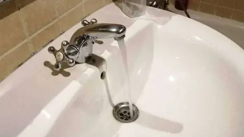grifo agua