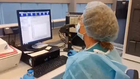 pcr