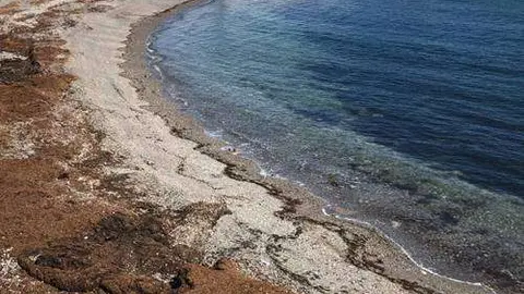 playa ben&iacute;tez