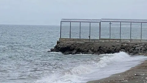 espig&oacute;n