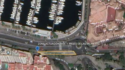 palmeras