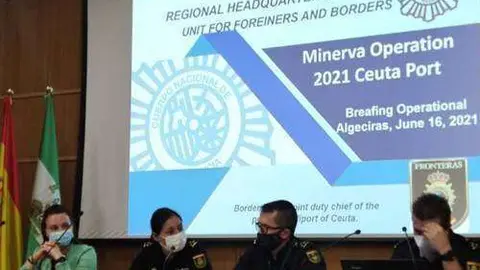 minerva