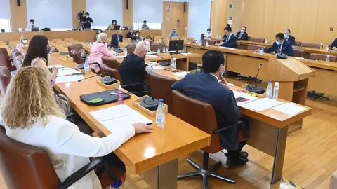 pleno