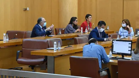 Imagen del pleno celebrado este jueves. Los esca&ntilde;os de Vox permanecen vac&iacute;os (C.A.)