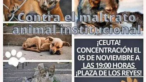 CONCENTACION