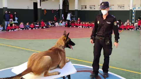 polic&iacute;a perro