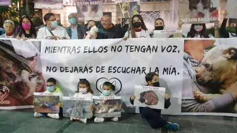 Concentraci&oacute;n de animalistas en la Plaza de los Reyes (C.A.)