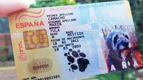 dni