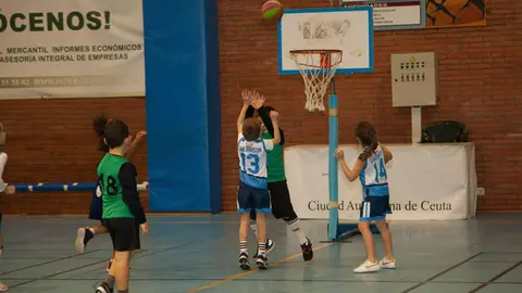 bskt-2