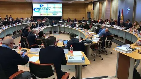 Pleno-Consejo-211019-DETALLE