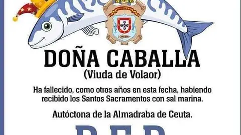 descarga (4)