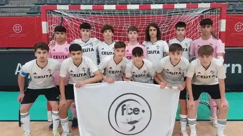 descarga (4)
