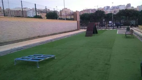 2017082518210858136