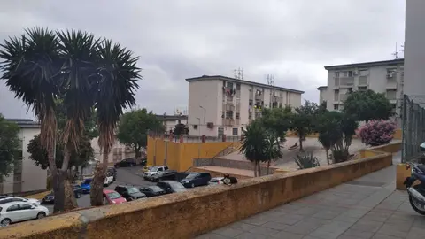 ROSALES