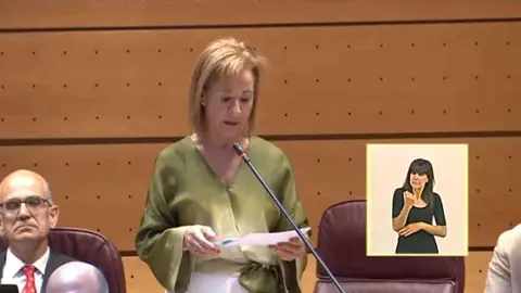 Yolanda Melero, Sesi&oacute;n de Control al Gobierno
