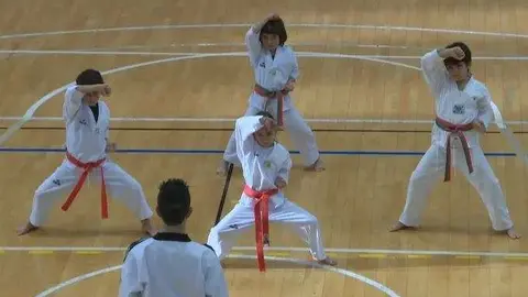 taekwondo