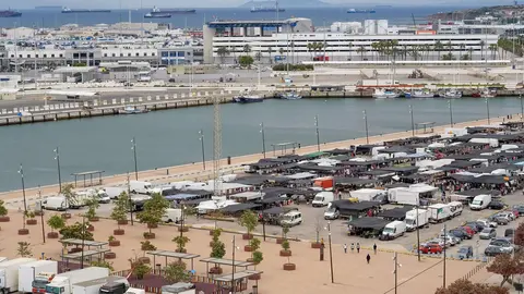 algeciras