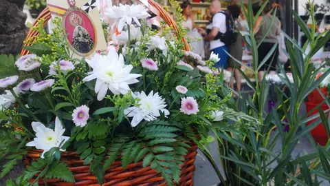 flores