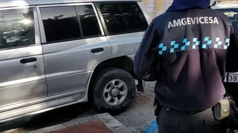 Amgevicesa