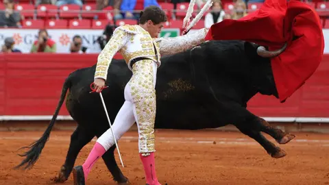 Toros ceuta