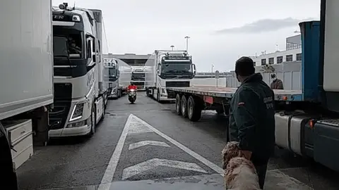 eed-guardia-civil-puerto-algeciras