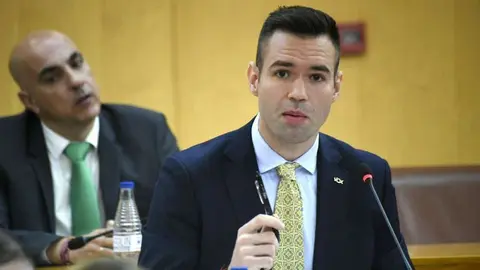 Carlos Verdejo, portavoz de Vox, durante la sesi&oacute;n plenaria de este viernes / Javier Sakona