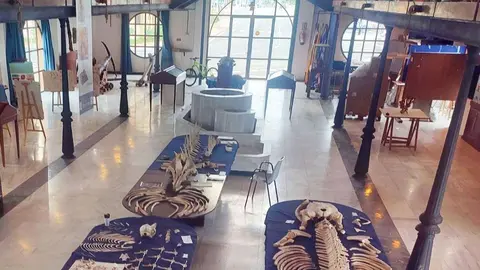 Museo del Mar 1