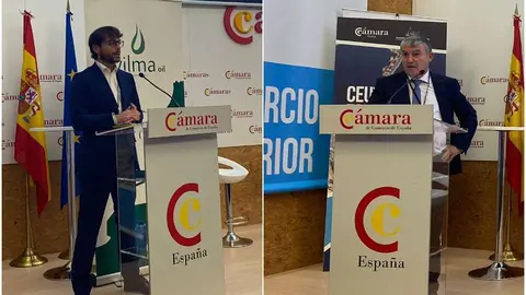  Fern&aacute;ndez Maqueira y Molina durante su intervenci&oacute;n en el Ceuta Port Forum 2022 