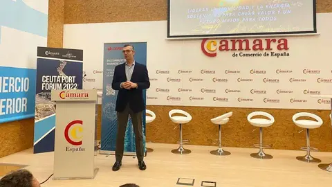  Carlos Giner de CEPSA durante su exposici&oacute;n en Madrid este jueves. 