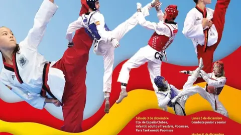 Campeonato de Espa&ntilde;a clubes de taekwondo