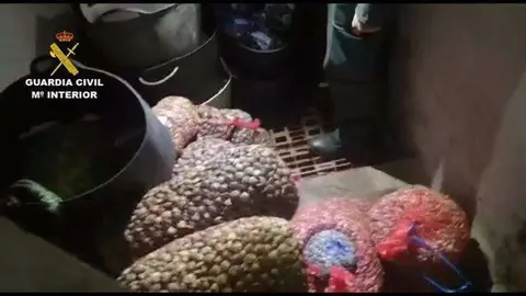 La Guardia Civil intensifica la vigilancia para incentivar la seguridad agroalimentaria en Navidad