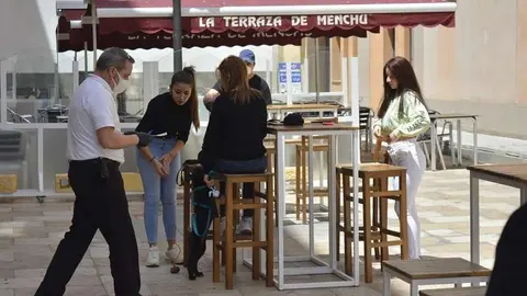 9231_terraza