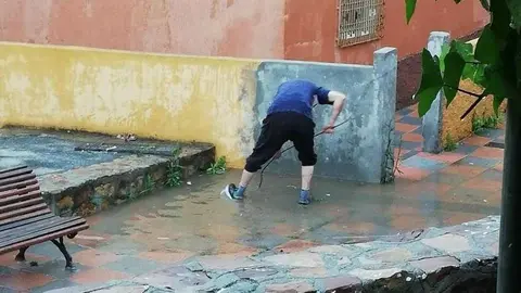 2020060117043422845