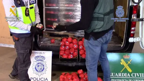 Droga-tomates-1068x601