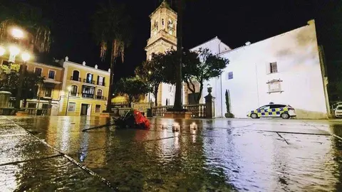 Una flor abandonada en la Plaza Alta, donde cay&oacute; asesinado el sacrist&aacute;n Diego Valencia (CEDIDA)