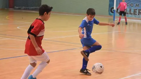 descarga (1)