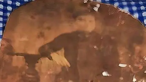 2023031220463289174