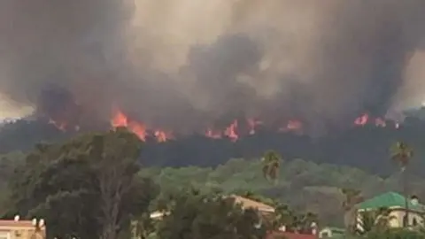 Incendio (Archivo)