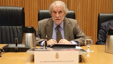 El profesor Hern&aacute;ndez Lafuente, hoy en el Congreso (CEDIDA)