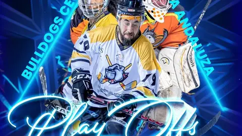 Cartel play off liga hockey patines