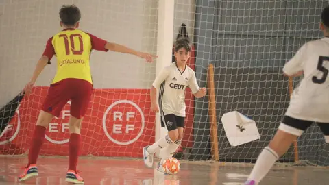 Campeonato de Espa&ntilde;a de f&uacute;tbol sala (Cedida)