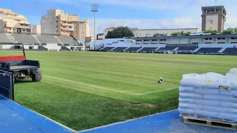 Trabajos de resiembra del c&eacute;sped (RFFCE)