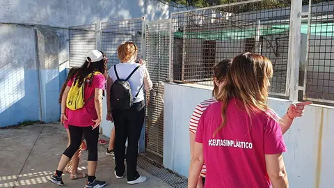 Protectora de Animales y Plantas