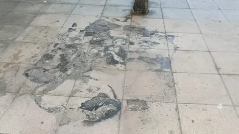 Basura suciedad en las calles de Ceuta